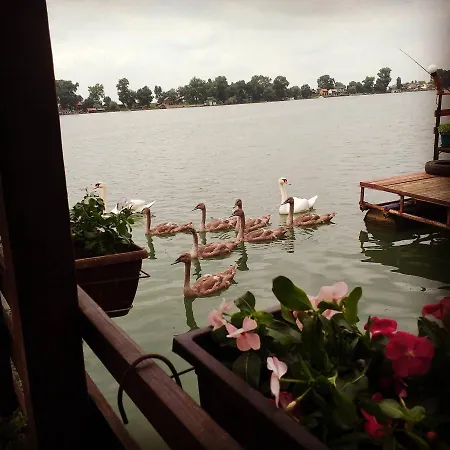 D Moll Splav Holiday home Belgrade