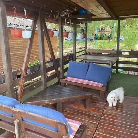 D Moll Splav Belgrád